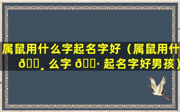 属鼠用什么字起名字好（属鼠用什 🕸 么字 🌷 起名字好男孩）